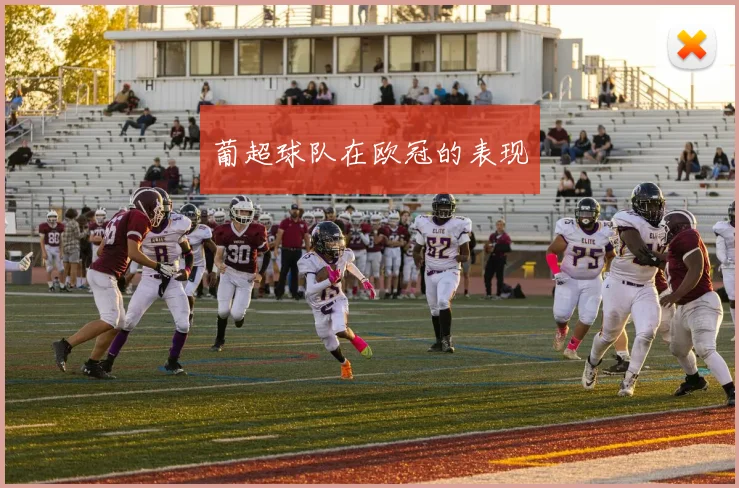 葡超球队在欧冠的表现