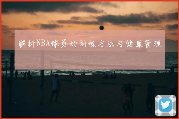 解析NBA球员的训练方法与健康管理