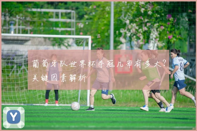 葡萄牙队世界杯夺冠几率有多大?关键因素解析
