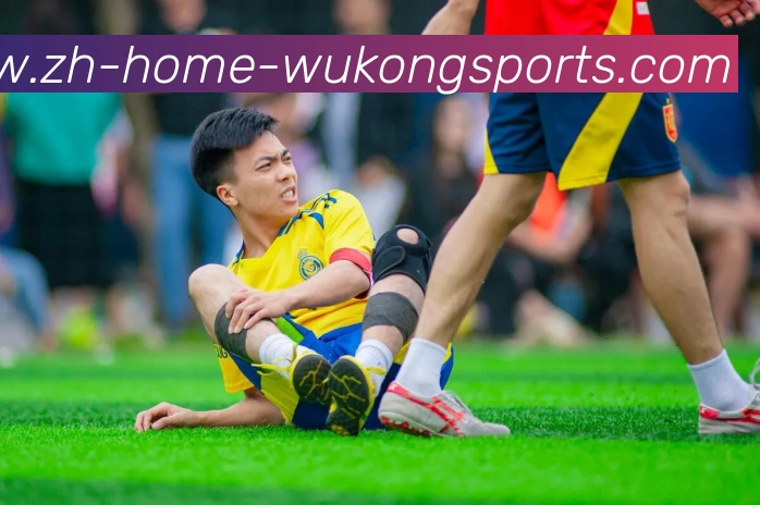 悟空体育平台生态图