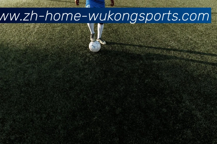 数据防护可视化